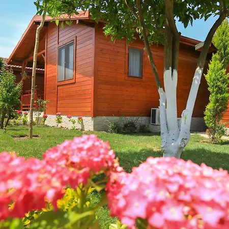 Merry & Tent Hotel Cirali