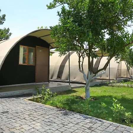 Hotel Merry & Tent Cirali