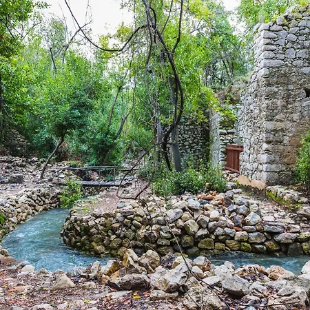 Merry & Tent * Çıralı