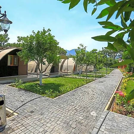 Merry & Tent Hotel